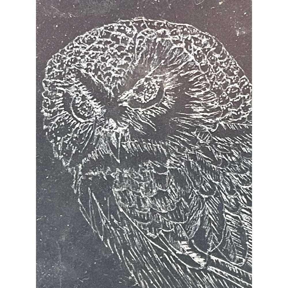 Vintage Owl Burning on Acrylic Original Art Signed Gen Kreiling 2001 Oak Frame
